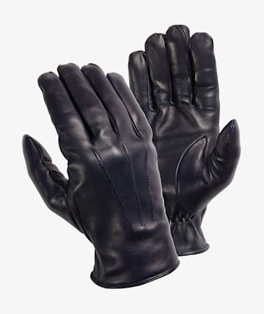 Blue Gloves