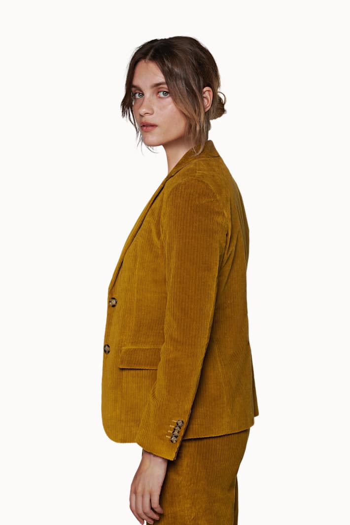 The Amber Suit