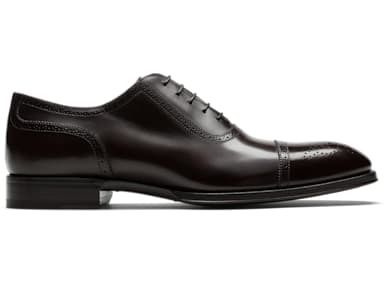 Brown Oxford