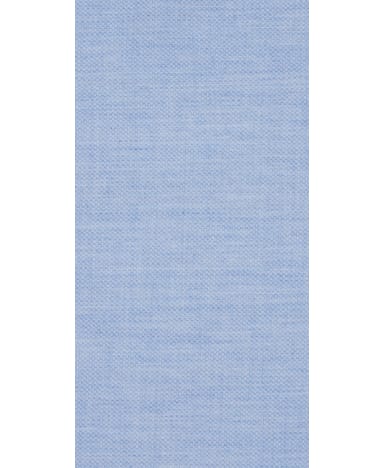 Light Blue Shirt