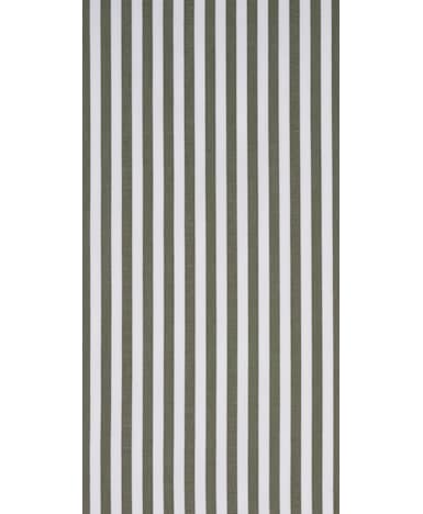 Green Stripe Shirt