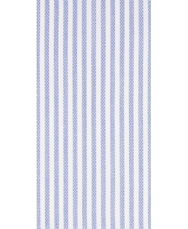 Blue Stripe Shirt