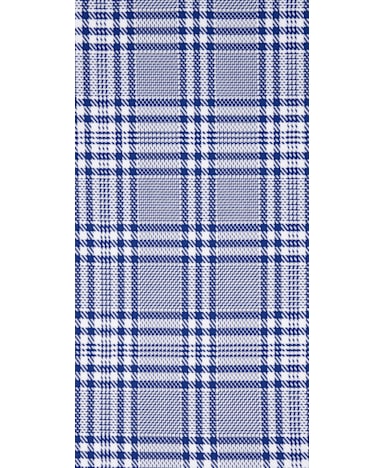 Blue Check Shirt