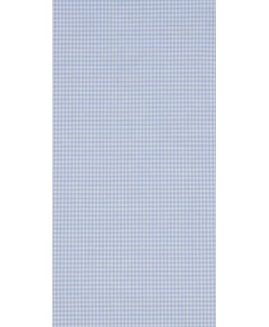 Jort Light Blue Check Shirt