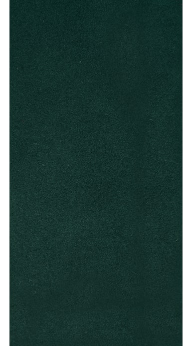 Jort Green Suit