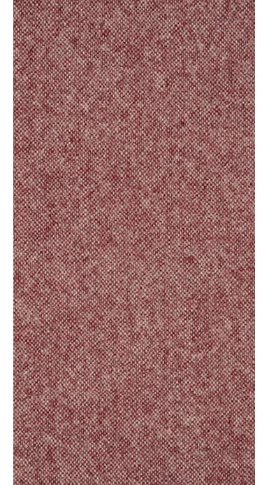 Havana Pink Plain Suit