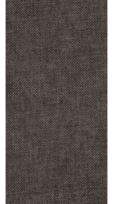 Havana Brown Plain