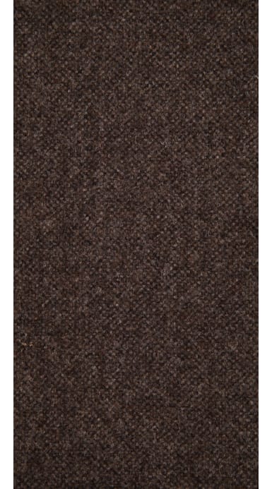 Havana Brown Plain