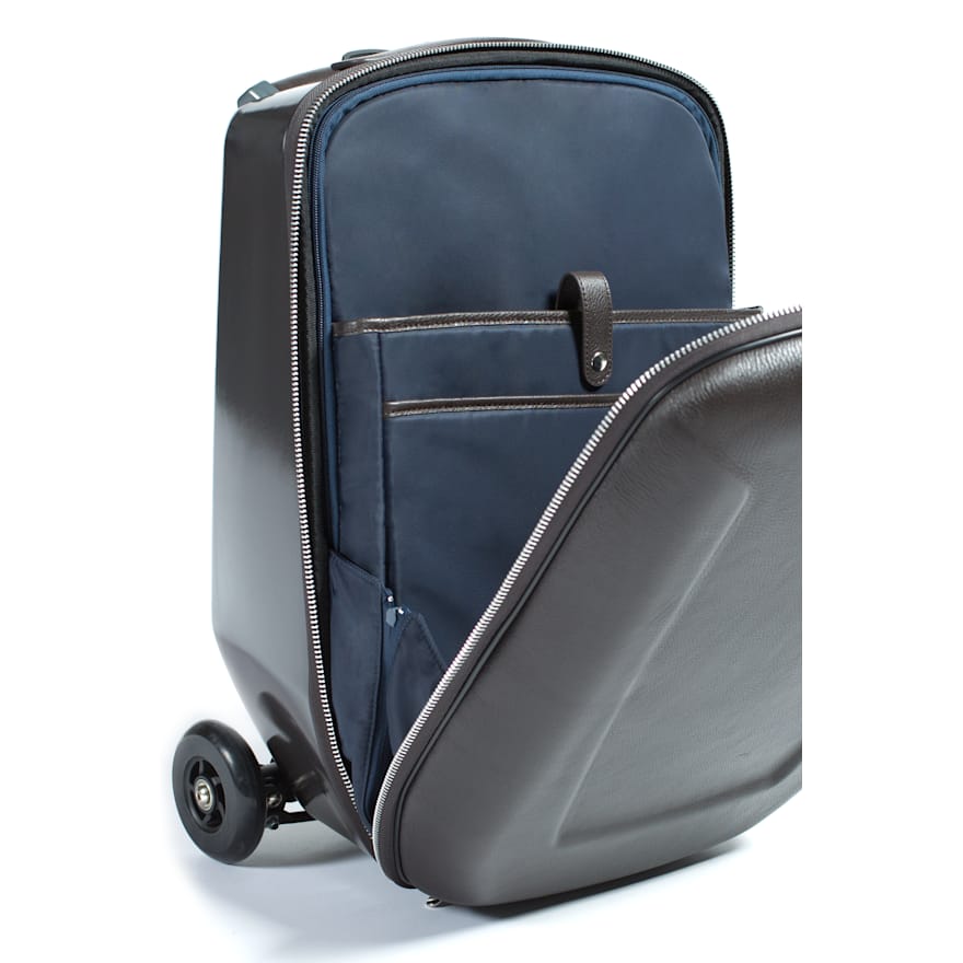 The Race Case