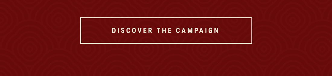 Discover the Campaign